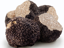 L'Ulivo e il Tartufo Nero dei Colli Berici: 12 - 13 - 14 luglio 2013
