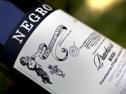 SERATA CON IL PRODUTTORE: AZIENDA AGRICOLA NEGRO ANGELO