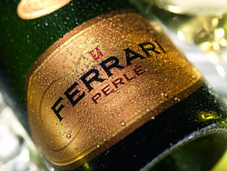 Regio Patio incontra Cantine Ferrari