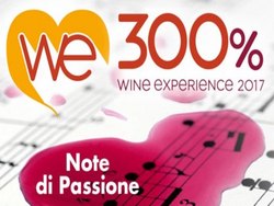 300% Wine Experience