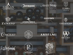 degusteremo in villa cariolato a vicenza