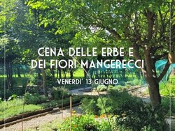 menù dei fiori e delle erbe mangerecce