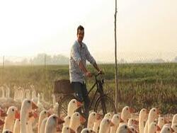 gioco dell'oca di San Martino con Davide Pauletto e Amedeo Sandri