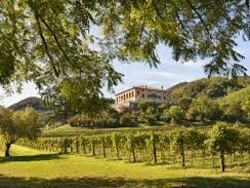 Vini Euganei – eccellenze enologiche in Villa - 8, 9, 10 maggio